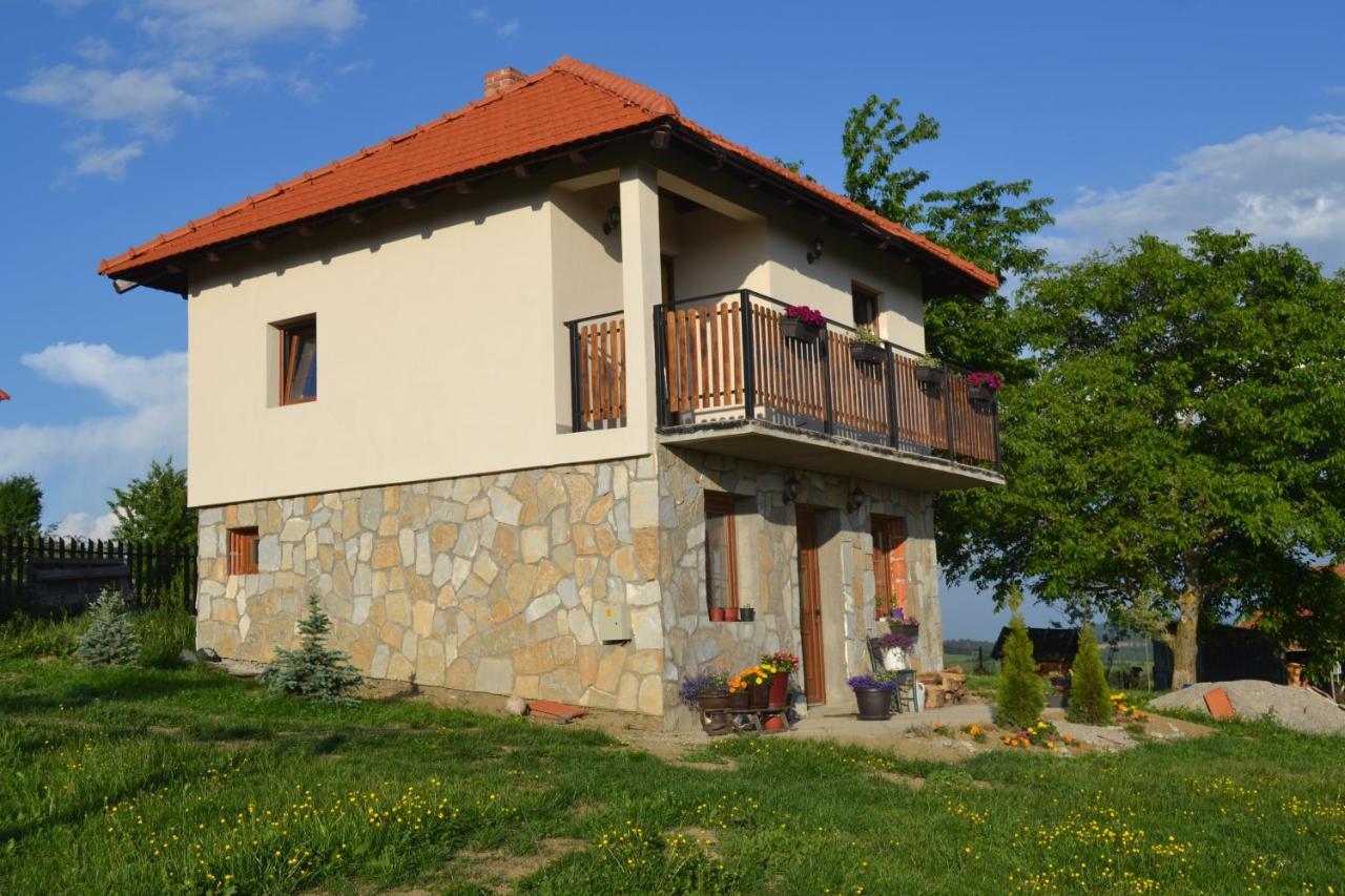 Zlatibor Cottages Zewnętrze zdjęcie